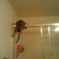 NWR: Show off your fur baby!