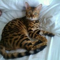 NWR: Show off your fur baby!