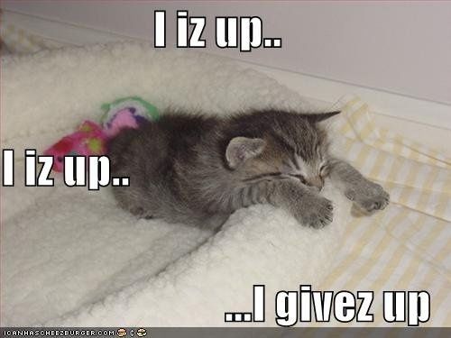 NWR- Funny pictures!