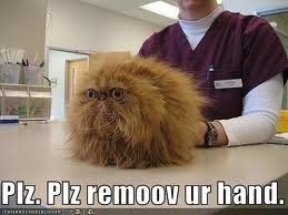 NWR- Funny pictures!