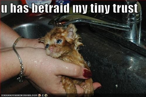 NWR- Funny pictures!