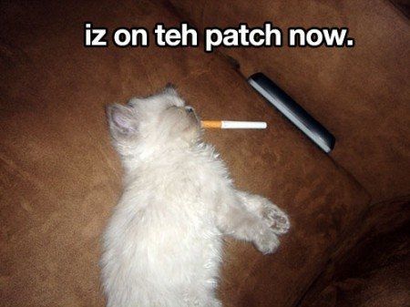 NWR- Funny pictures!