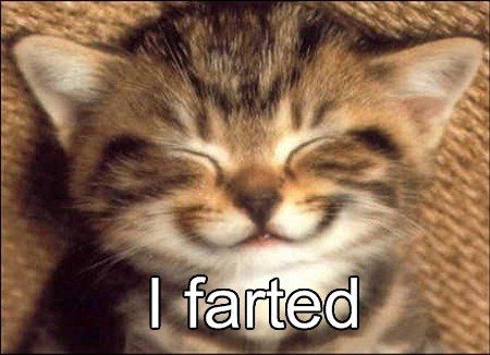 Some funnies that are well...um funny!