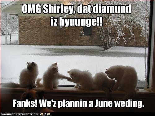 Some funnies that are well...um funny!