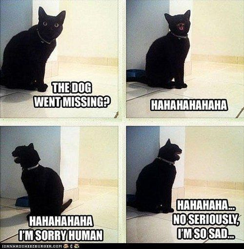 Some funnies that are well...um funny!