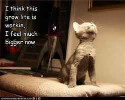 NWR- Funny pictures!