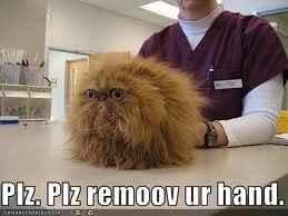 NWR- Funny pictures!