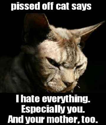 NWR- Funny pictures!