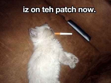 NWR- Funny pictures!