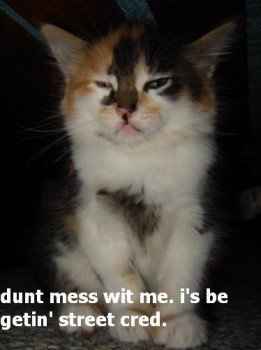 NWR- Funny pictures!