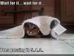 NWR- Funny pictures!