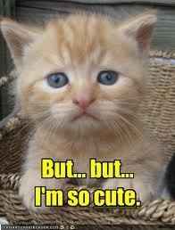 The start of my DIY Glitter Shoes *work in progress*