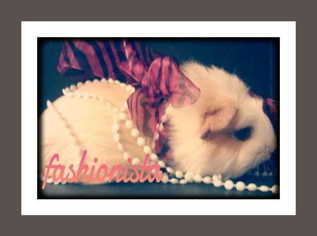 The start of my DIY Glitter Shoes *work in progress*