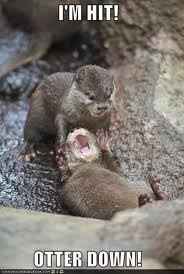 Some funnies that are well...um funny!