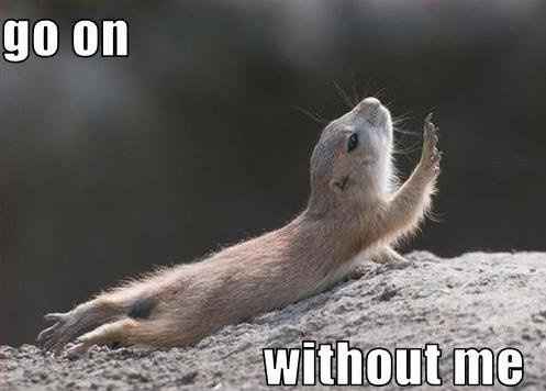 Some funnies that are well...um funny!