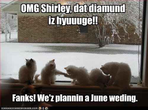 Some funnies that are well...um funny!