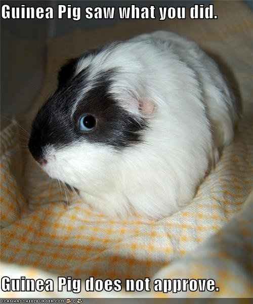 Some funnies that are well...um funny!