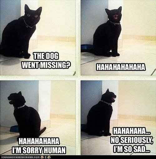 Some funnies that are well...um funny!