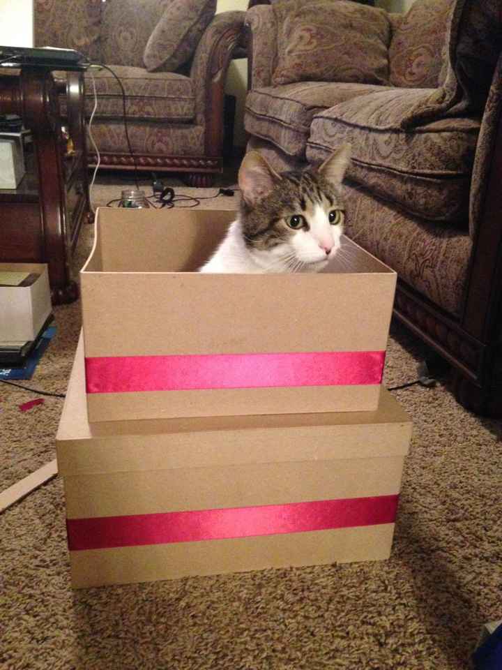 NWR...my fur baby passed and my FH was AMAZINGLY there for me.