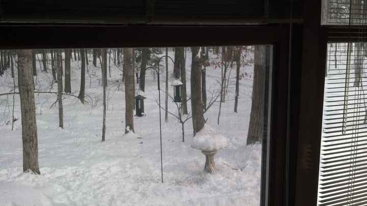 NWR Spinoff:  Show me your "view"!