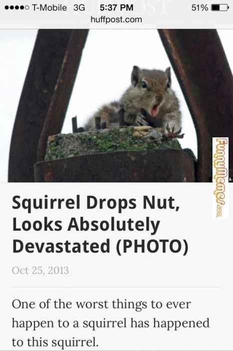 NWR: Rough morning...