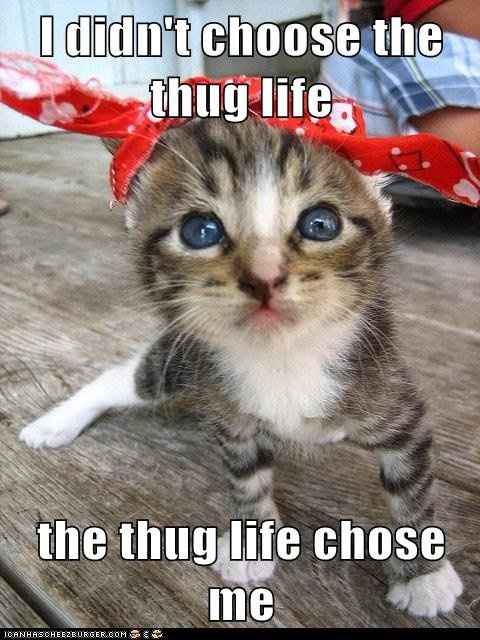 Some funnies that are well...um funny!