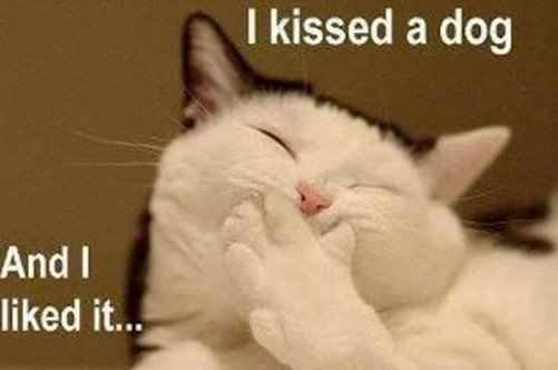 Some funnies that are well...um funny!