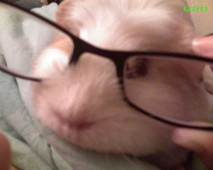 Something to make you smile :)