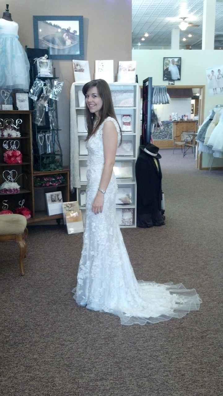 My Dress is in! **PICS ADDED**