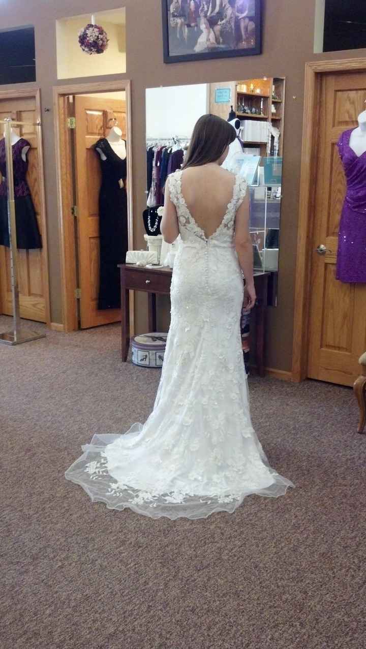 My Dress is in! **PICS ADDED**