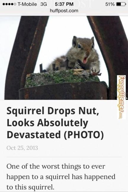 NWR: Rough morning...