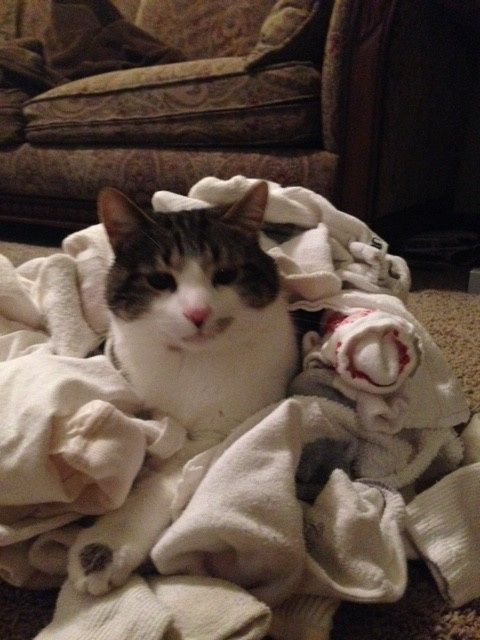 Fur baby friday!