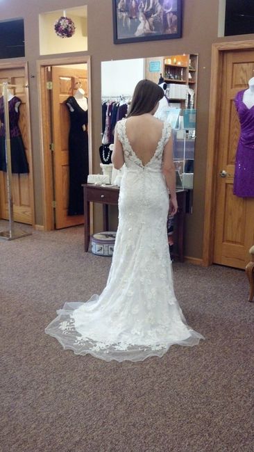 My Dress is in! **PICS ADDED**