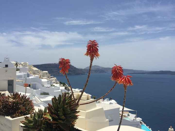 BAH!! Greece style (because it's Friday and I'm checked out).