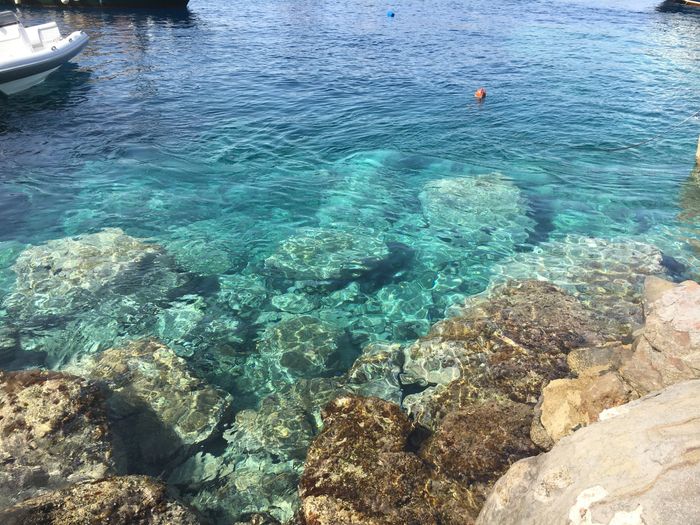 BAH!! Greece style (because it's Friday and I'm checked out).