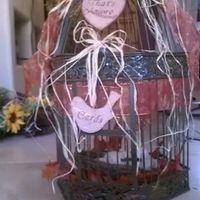 Can I See Your Card Box?