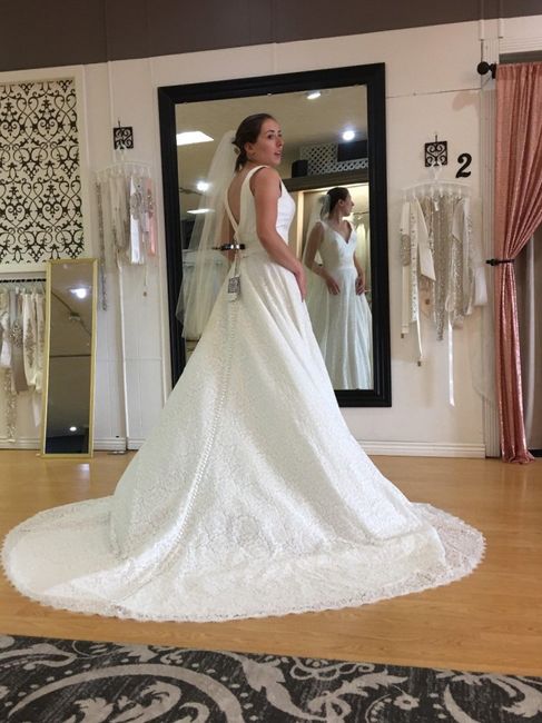 Back of Dress
