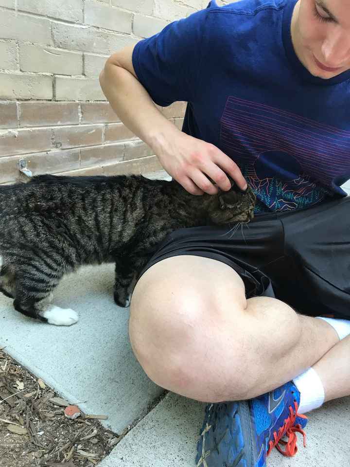 Show me your fiance and pet - 1