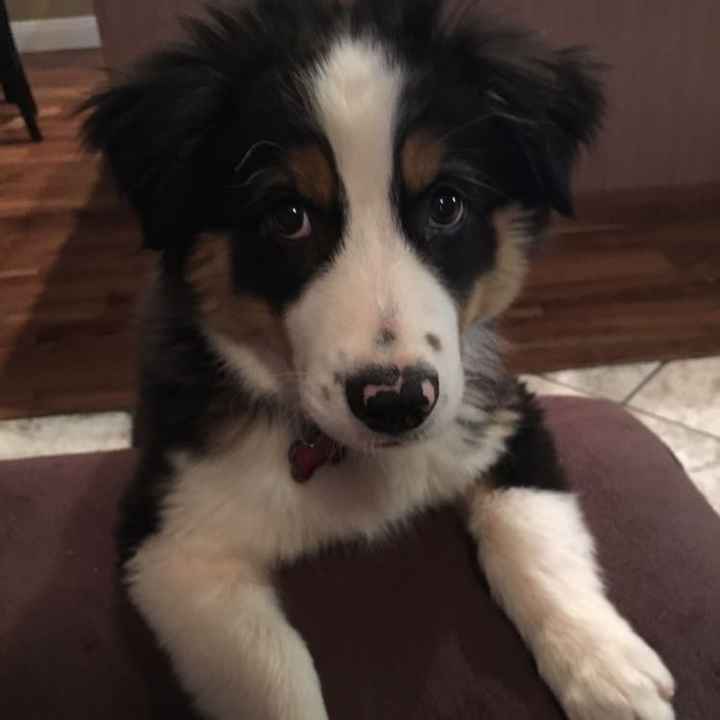 NWR: you and furbaby pic!