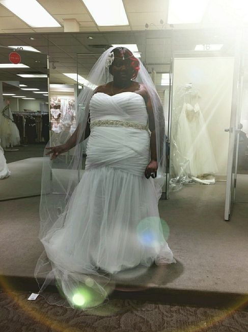 Davids Bridal Dresses!