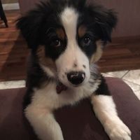 NWR: you and furbaby pic!