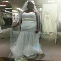 Davids Bridal Dresses!