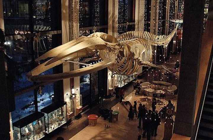 Jump in, Jump Out, Introduce Yourself (to the WW Forums)