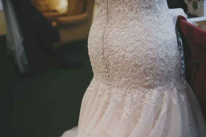 Slightly Belated BAM - Pro Pics