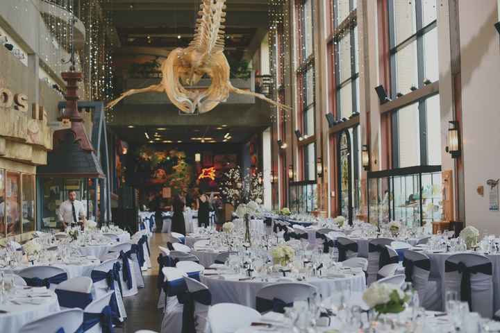 Slightly Belated BAM - Pro Pics