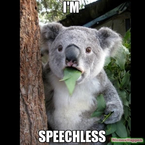 Destination Wedding Nightmare (Article)