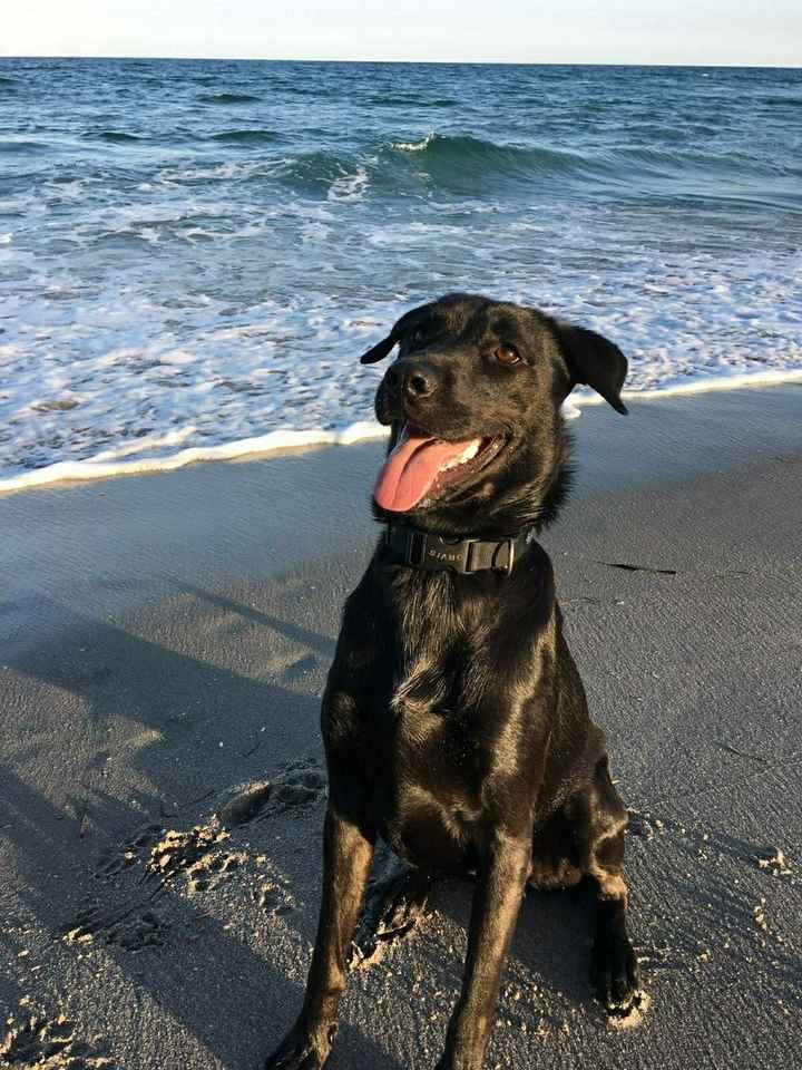 NWR: Nervous Nelly, NCLEX