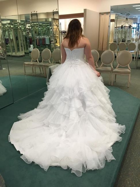 DRESS OPINIONS ...pics included