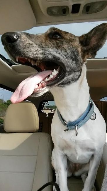 NWR: Happy Fursday!
