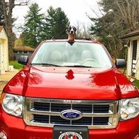 It's Fursday! Share the love!